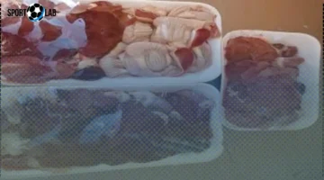 أسعار الفراخ في الإسكندرية اليوم: كبده وقوانص بسعر 100 جنيه